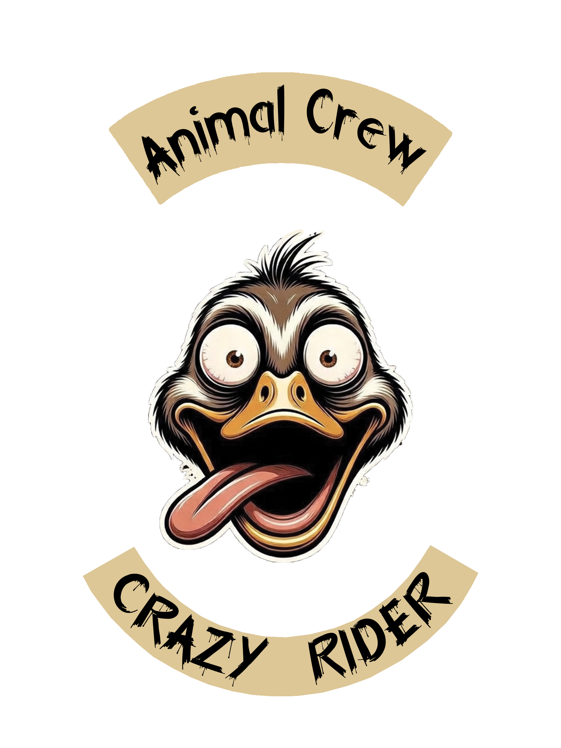 CRAZY RIDER DUCK