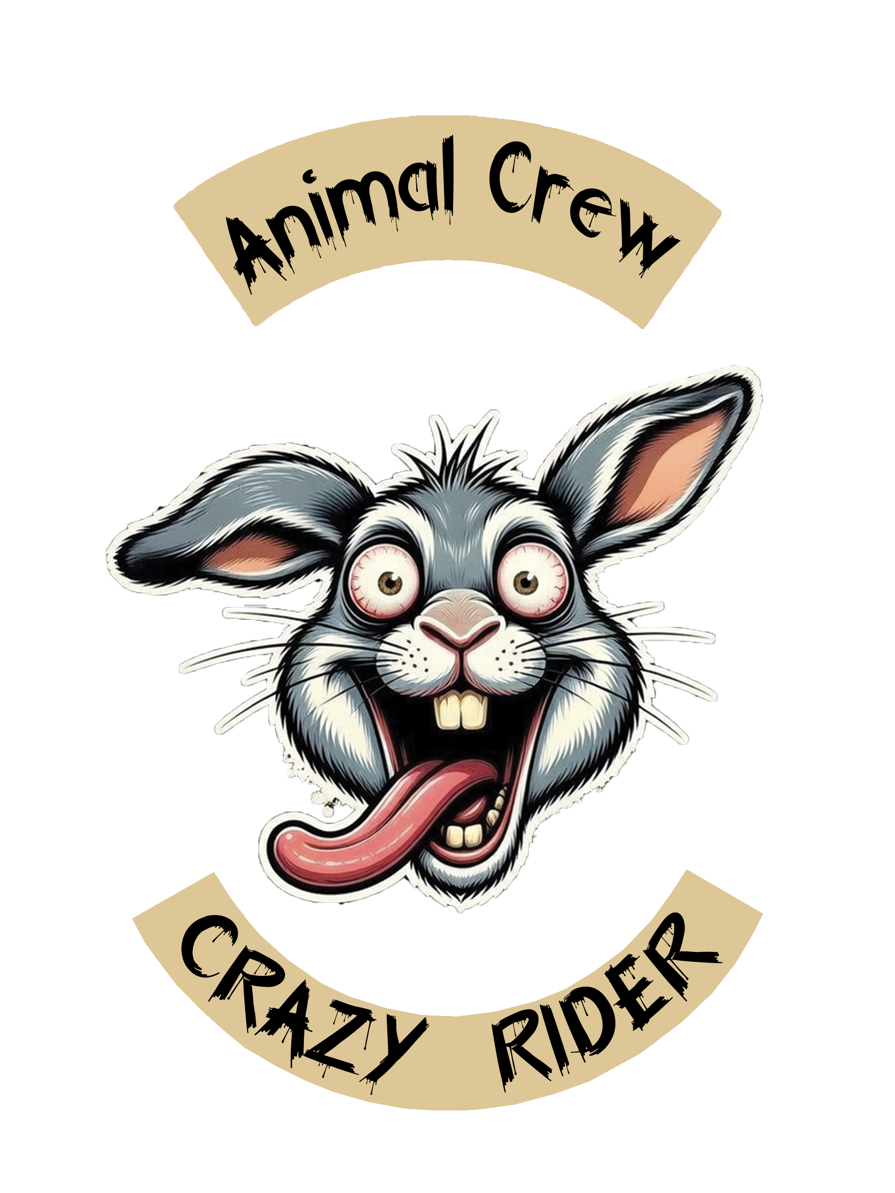 CRAZY RIDER RABBIT
